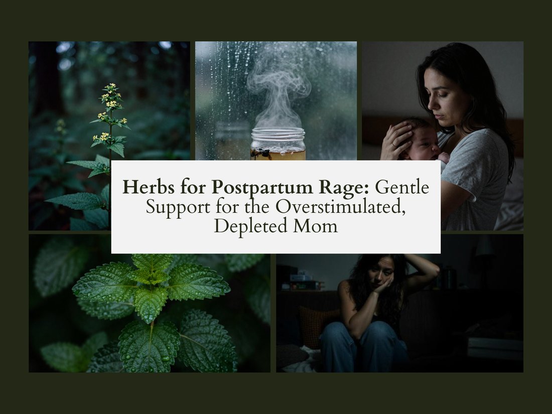 8 Herbs for Postpartum Rage: Gentle Support for the Overstimulated, Depleted Mom