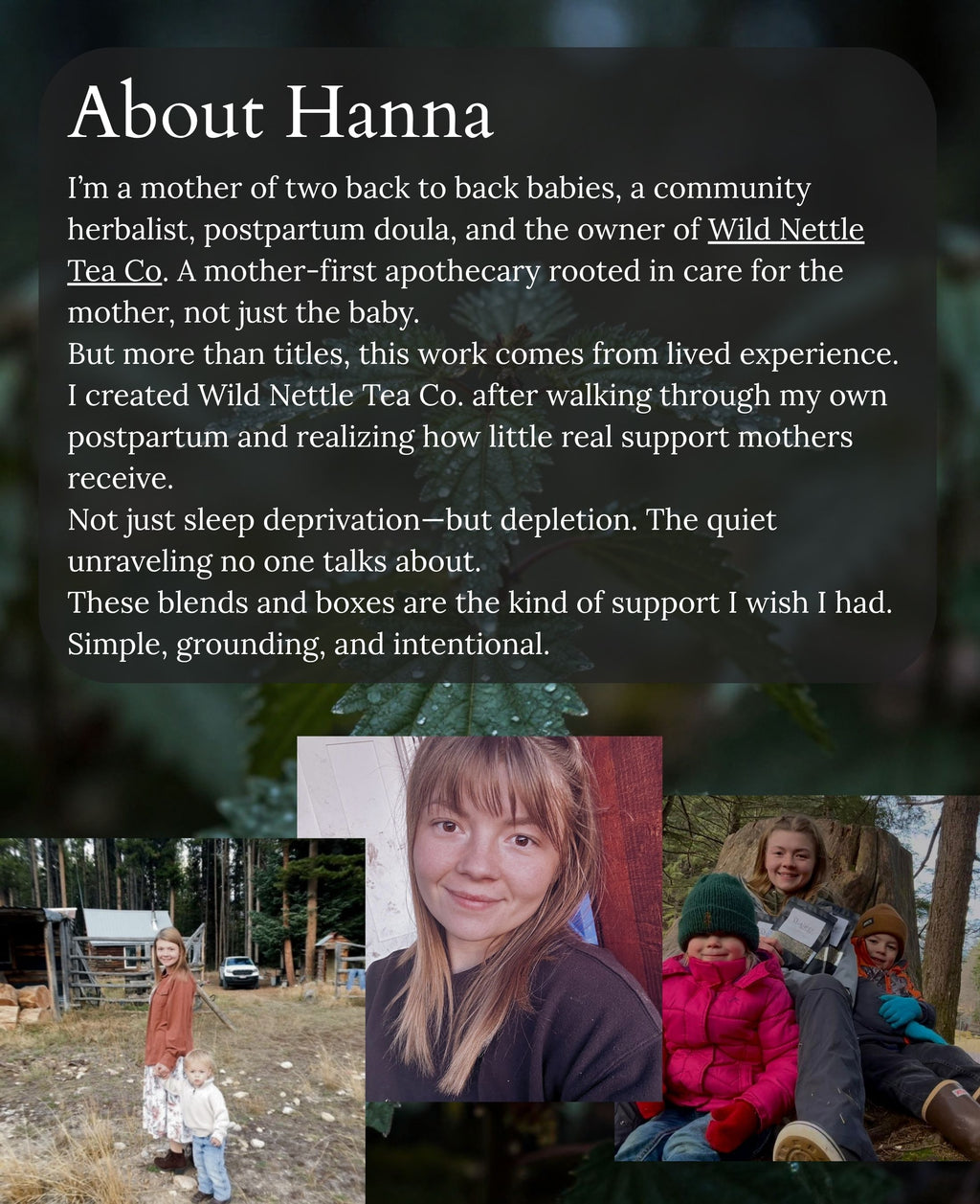 A text-heavy 'About Your Friend Hanna' promotional graphic with white lettering on a dark blurred background, plus three small photos along the bottom showing outdoor scenes and a portrait of a woman. This is not a clean product shot, not a measurement chart, color swatch, or instruction diagram, and it does not clearly present a specific sellable product, so subject_type is Other.