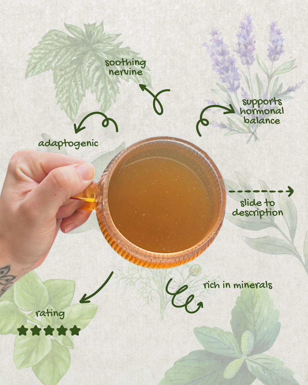 a cup of tea for stress brewed with benefits listed as: adaptogenic, hormonal balance, mineral rich, soothing nervine