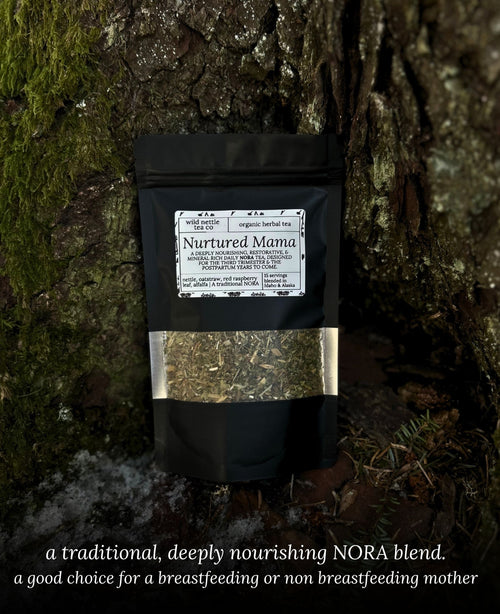 A black stand-up pouch labeled 'Nurtured Mama' herbal postpartum tea, placed against a mossy tree trunk outdoors. The pouch has a clear window showing dried herbs inside and a white label with black text. NORA tea for lactation