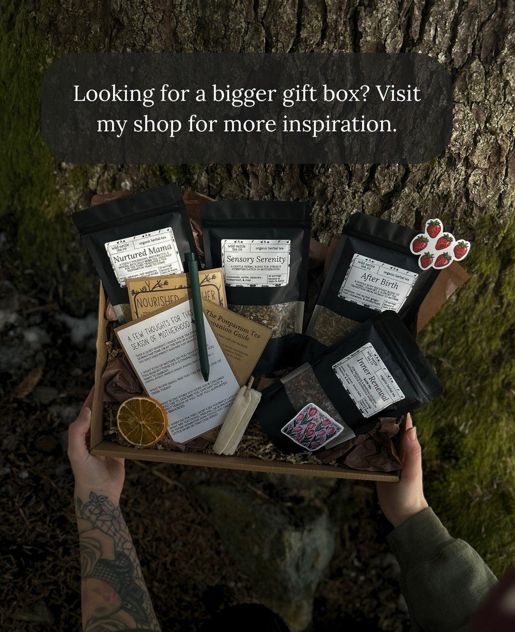 A top-down view of a person holding a gift box for new mom filled with assorted packaged wellness items, including black pouches of loose leaf herbal tea for postpartum, cards, and a dried orange slice, positioned in front of a large tree trunk. A dark text banner at the top reads, 'Looking for a bigger gift box? Visit my shop for more inspiration.