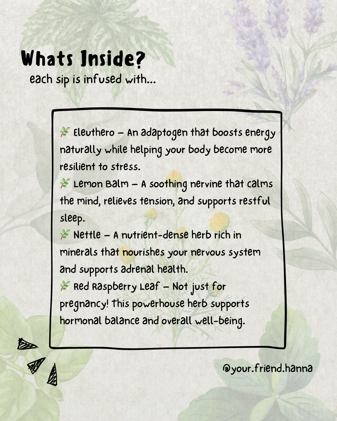 a graphic explaining the benefits of the herbs in the tea blend for overstimulated moms. Eleuthro, Lemon Balm, Nettle, Red Raspberry leaf